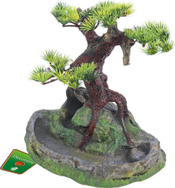 Bonsai Boom Op Rots - 17.5 cm