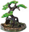 Bonsai Boom Op Rots - 17.5 cm