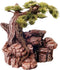 Bonsai Boom Op Rots - 17.5 cm