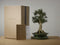 Bonsai of Majime - Authentieke XL Bonsai - 10 jaar oud - Inclusief pot & Schaal van Japans keramiek - The Bonsaïst