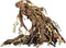 Bonsai root small