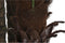 Boomstructuur DKD Home Decor Palmboom Polyester Polypropyleen (100 x 100 x 250 cm)