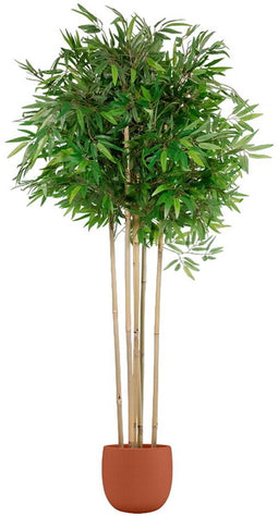 Boomstructuur Home ESPRIT Polyester Bamboe 80 x 80 x 180 cm