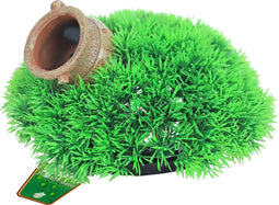 Boon greenmoss+pot+uitstromer 21x9.5 cm