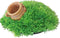 Boon greenmoss+pot+uitstromer 21x9.5 cm