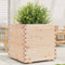 vidaXL - Plantenbak - 70x70x72 - cm - massief - grenenhout