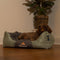 Bopet Hondenmand Zacht en Stevig, Anti-Slip en Wasbaar - Grijs/Groen - M 58 x 48 x 15 cm. - Voor Klein / Middelgroot Hondenras