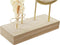 Bordsklocka DKD Home Decor 26 x 8 x 53 cm Spiegel Natuurlijk Gouden Metaal Hout MDF