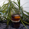 Bormioli Rocco America'20s waterglas - 30 cl - Set-6