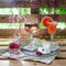 Bormioli Rocco America's 20 Gin Tonic Cocktailglas - 740 ml - Set-6