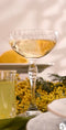 Bormioli Rocco Cocktailglazen America 20's - 220 ml - 4 stuks