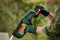 Bosch AdvancedGrassCut 36V-33 Grastrimmer - Inc. accu en lader - Met 5m draadspoel