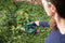 Bosch AdvancedShear 18V-10 accu buxus- en grasschaar - Incl. buxusschaarmes (20 cm) en grasschaarmes (10 cm) - Met 18 V accu en lader