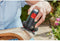 Bosch EasyCurvSander 12 Accuschijfschuur- & polijstmachine - Incl. schuurnetten set - Losse body (geleverd zonder 12 V accu en oplader)