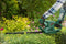 Bosch EasyHedgecut 46 Heggenschaar - 420 W - 45 cm meslengte