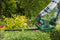 Bosch EasyHedgeCut 55 Heggenschaar - op snoer - 420 W