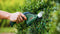 Bosch EasyShear Grastrimmer - Buxusschaarmes (12 cm) - grasschaarmes (8 cm)