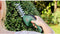 Bosch EasyShear Grastrimmer - Buxusschaarmes (12 cm) - grasschaarmes (8 cm)