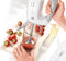 Bosch MFQ36470 ErgoMixx - Handmixer - Incl Staafmixervoet - 450W - Wit