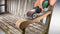Bosch Texoro Multi-schuurroller - 250 W - Inclusief accessoires