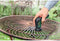 Bosch Universal Brush - Snoerloze reiningsborstel