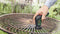 Bosch Universal Brush - Snoerloze reiningsborstel