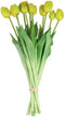 Bosje kunst tulpen de boet 12x, geel
