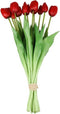 Bosje kunst tulpen de boet 12x, rood