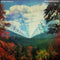 Tame Impala - Innerspeaker - 2 LP - Psychedelische rock