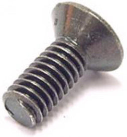 Bout rempotdeksel m4x10mm chroom 25 stuks