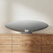 Bowers & Wilkins Zeppelin (2021) Licht Grijs