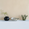 Bowl Monstera Natural / Ceramic
