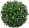 Box Princeville ball 20 cm kunstplant Nova Nature