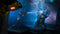 Tom Clancy's Rainbow Six Extraction - PS4 - Tactische coöp-FPS - Upgrade naar PS5