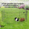 Brixy Puppyren - Hondenren - 8 Panelen - 60 x 60 CM - 480 CM Omtrek - Opvouwbaar - Met Deur - Zwart