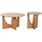 Set van 2 tafels Home ESPRIT Natuurlijk 75 x 75 x 45 cm