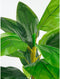 Mica Decorations Strelitzia Kunstplant - H150 x Ø40 cm - Groen