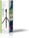 Nedis TPOD4444BK - Mini-tripod - Compact formaat met panoramisch hoofd - Zwart