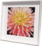 Thea Gouverneur - Borduurpakket met telpatroon - 441.05 - Voorgesorteerde DMC Garens - Dhalia - Zwart Aida - 33 cm x 33 cm - DIY Kit
