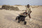 Lionelo Mika Plus - Kinderwagen - All-Terrain Wielen - Lichtgewicht - Verstelbare Zitting - XXL Kap UPF 50+ - Groen