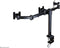 Neomounts FPMA-D960D3 - Bureausteun voor 3 schermen - Verstelbaar - Max. 21