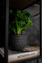 Ter Steege Plantenpot/Bloempot Lava Stone - zwart - D21 x H19 cm - binnen
