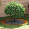 vidaXL - Plantenring - Ø90/120 - cm - Weerbestendig - Staal