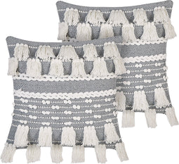 BRAHEA - Sierkussen set van 2 - Grijs - 45 x 45 cm - Katoen