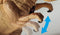 Brainstorm T- Rex Projector - Dinosaurus Projector - T-Rex Sticker