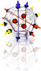 Brainstring Advanced