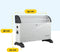 BRASQ Elektrische Convectorkachel - Elektrische Kachel - Verstelbare thermostaat 750/1250/2000 watt - Verwarming wit - CH300