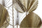 Wanddecoratie DKD Home Decor Gouden Metaal Blad van een plant (54 x 5 x 91,5 cm)