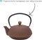 Bredemeijer - Theepot Anhui 0,9L gietijzer aubergine met filter - theezeef