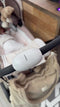 Vulpes Goods® BabyCare - Baby Rocker PRO - Automatisch Schommelen - Incl. Reistas - Premium White